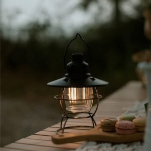 Lanterns import placeholder for 6830